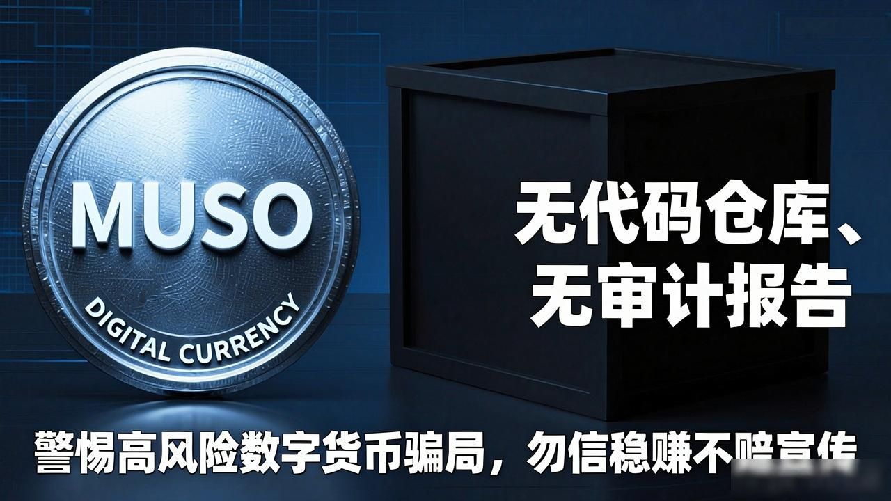 MUSO数字货币风险_MUSO数字货币非法性_muso数字货币